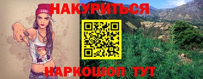 крисы Новодвинск