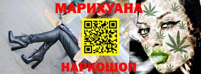 крисы Новодвинск