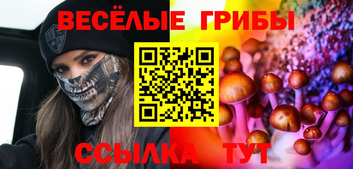 Псилоцибиновые грибы Cubensis  Галлюциногенные грибы Magic Shrooms  дарнет шоп  Вход с VPN  Унеча 
