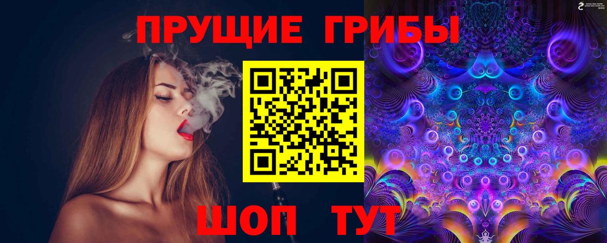 Псилоцибиновые грибы мицелий Унеча